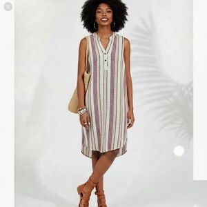SPLENDID womens S creme pink stripe 1/4 button dress small